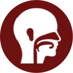 1744781615_Icon 11.png
